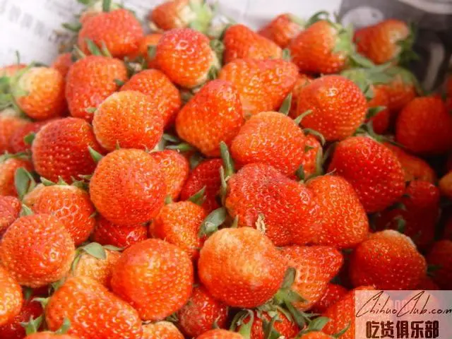 大店草莓