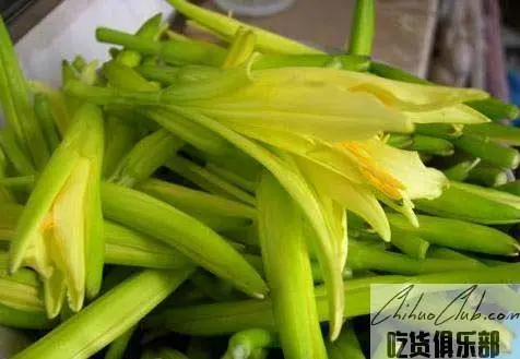 大荔黄花菜
