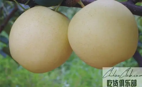 Guang'an Honey Pear