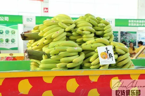 麻涌香蕉