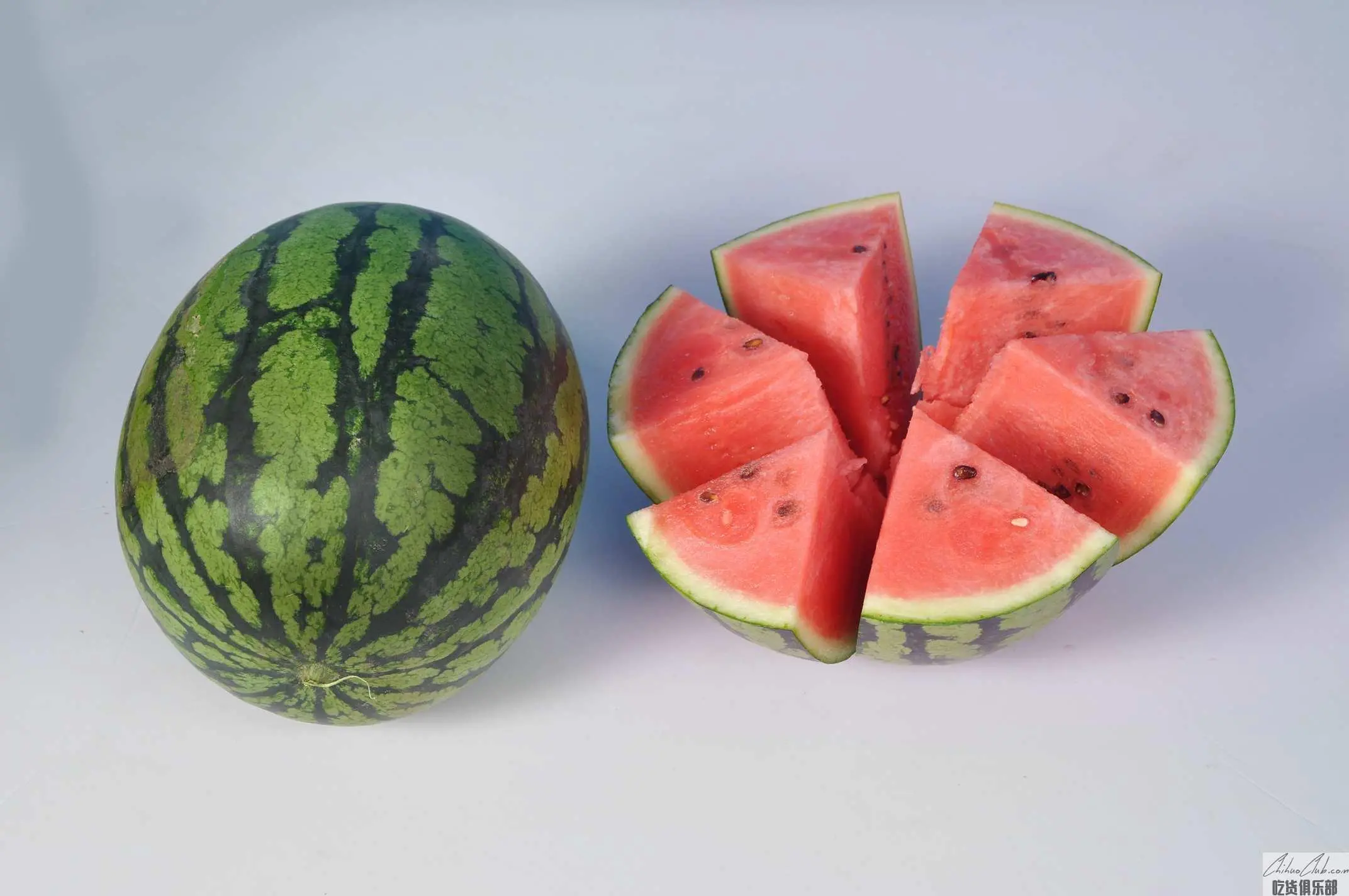 Xinle Watermelon