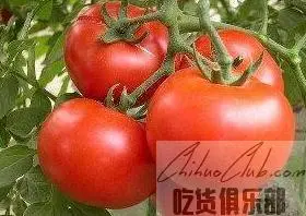 崔家集西红柿