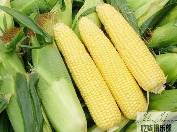 Hannan sweet corn