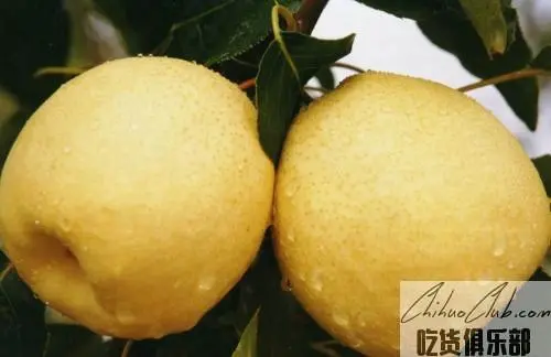 Qixian Pear