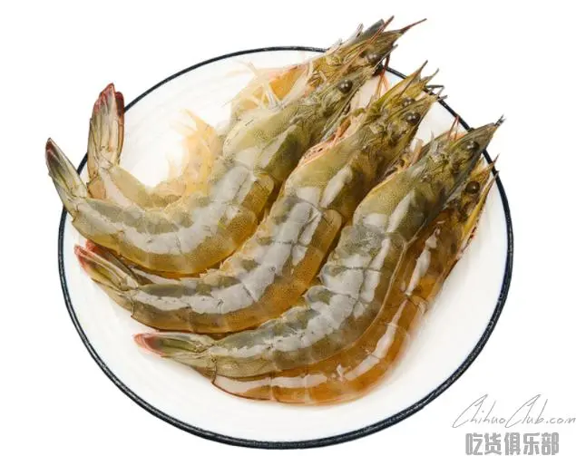 永宁青虾