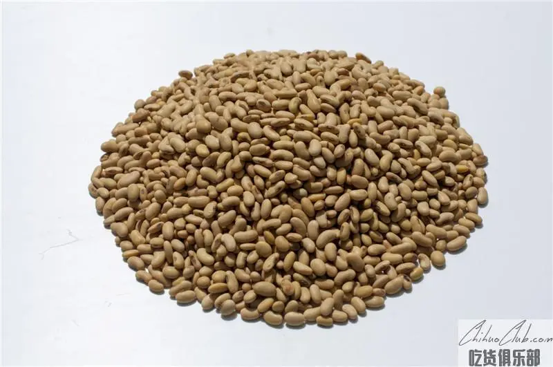Zizhou soybean